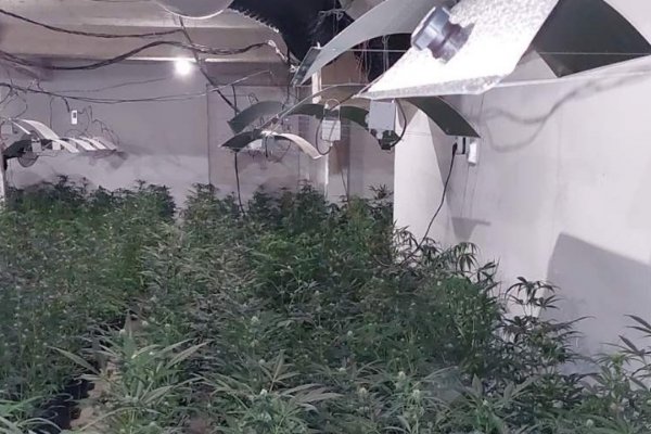 Почему не работает кракен