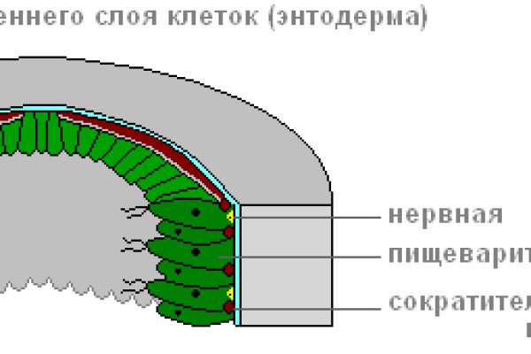 Кракен даркнет купить