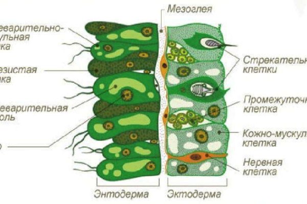 Кракен маркет плей